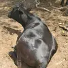Manuel Betanco - @manuelbetanco71 - TikTok
