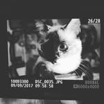 Manuel 📷 Tarrio - @_take.photos - Instagram