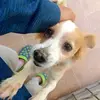 Manuel Tay. - @manuel.tay05 - TikTok