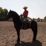 Manuel Tereso - @manuel.tereso.961 - Instagram