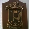 Manuel Terrazo - @manuelterrazo1 - TikTok