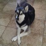 Manuel Terrones - @manuel.terrones.7359 - Instagram