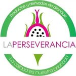 Manuel Elacio Vicente Toala - @laperseverancia_pitahayas - Instagram