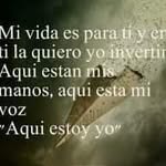 Manuel Tocas - @manuel.tocas - Instagram