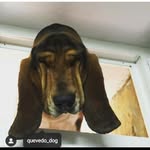 Manuel Toraño - @manueltorano - Instagram