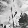 manuel urban - @maniurb - TikTok