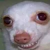 hola - @manuel._.uy - TikTok