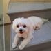 Jose Manuel Vadillo - Facebook