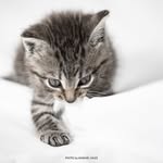MANUEL VALES - @riazor723 - Instagram