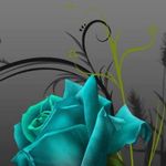 Manuel Aleman Valido - @alemanvalido - Instagram