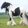 Manuel Valle - @manuel.valle269 - TikTok