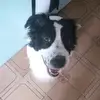 Manuel Vallines - @manuelvallines - TikTok