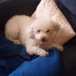 Manuel Verdejo Bernal - @verdejobernal - Instagram