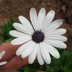 Manuel Verdejo Sanchez - @manuelverdejosanchez - Instagram