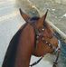 Manuel Vicente - Facebook