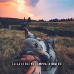 Manuel Viloria Martinez - @manuelviloriamartinez - Instagram