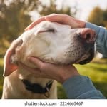 Manuel Watson - @manuel.watson75133 - Instagram