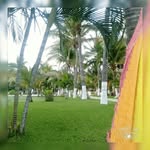 manuel wilson - @manuel_wilson_ - Instagram