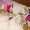 manuela - @manuelaacevedo136 - TikTok
