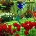 Manuela Cuevas Baez - Facebook