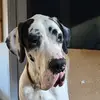 Manuela Baron - @manuela.baron - TikTok