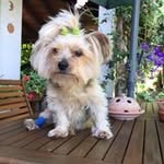 Manuela Bianchi - @bianchi5840 - Instagram