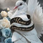 Manuela Cadena - @manuela.cadena.792 - Instagram