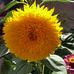 Manuela Caldera - Facebook