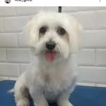 Manuela calvo - @manuelacalvo5 - Instagram