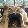 manuela.castle - @manuela.castle - TikTok