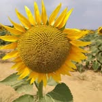Manu - @manuela.colonna.7 - Instagram