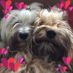Manuela Conrad - @manuela.conrad.8 - Instagram