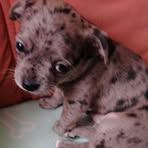 Manuela Cramer - Facebook