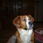 Manuela Decker - @md563270 - Instagram