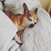 Manuela Drew - Facebook