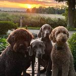 Manuela Engelhardt - @mengel666 - Instagram