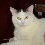 Manuela Farina - @manuela_pav - Instagram