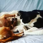 Manuela Ferro - @manuela.ferro.92 - Instagram