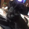 Manuela Ferro - @mamuela.ferro - TikTok