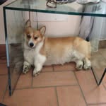 Manuela Ferro - @manuela.ferro.3572 - Instagram