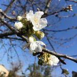 Manuela Foley - @manuela.foley.50 - Instagram