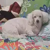 manuela garces - @manuela.garces4 - TikTok