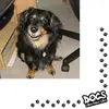 Manuela Geiger - @manuela.geiger6 - TikTok