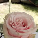 Manuela Geiger - Facebook