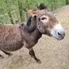 Manuela Gibson - @manuela.gibson0 - TikTok