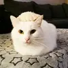 Manuela Gill - @manuela.gill4 - TikTok