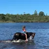 Manuelagill_ - @manuelagill_ - TikTok