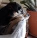 Manuela Gutmann - Facebook