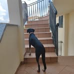 Manuela Grau - Facebook