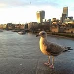 Manuela Gruber - @manugruber06 - Instagram
